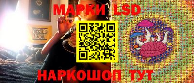 ешки Шебекино