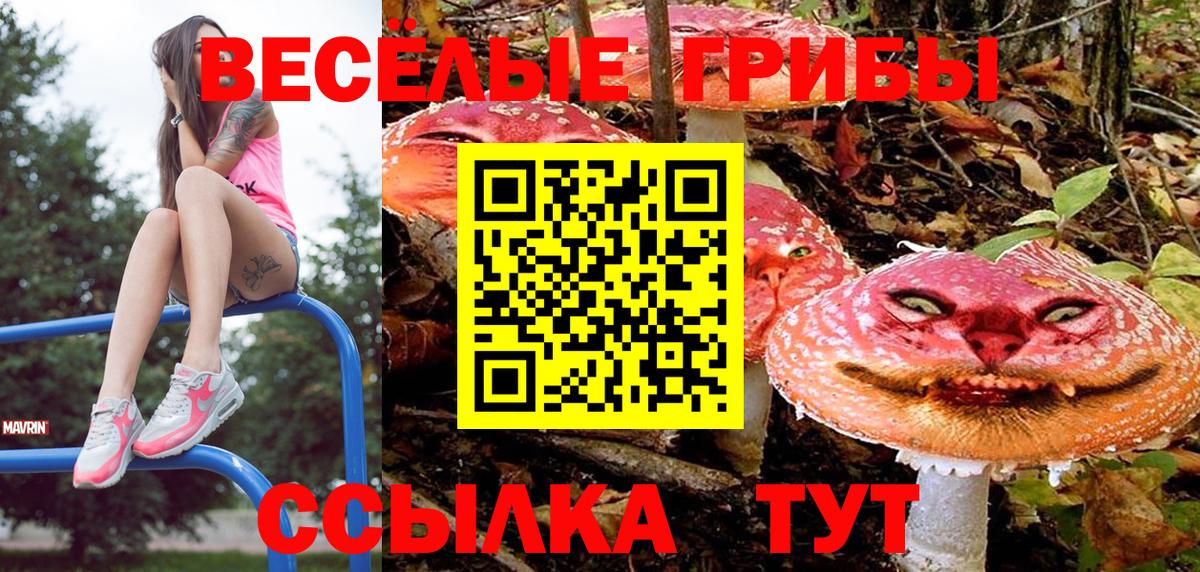 Барнаул  цены   Вход с VPN  Галлюциногенные грибы GOLDEN TEACHER 