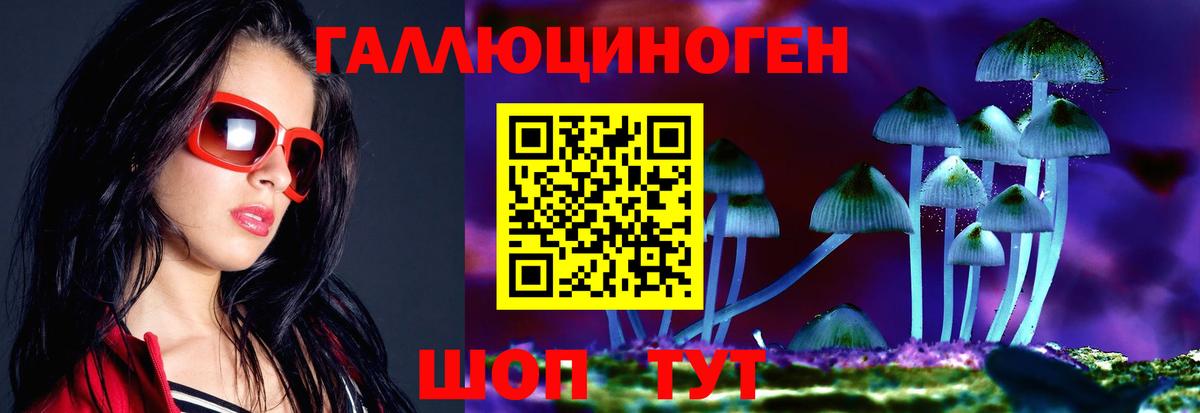 Псилоцибиновые грибы Cubensis Барнаул